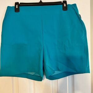 Rachel Zoe turquoise colored stretch shorts sz 10
